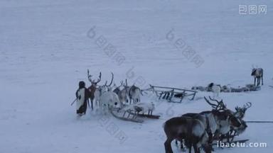 北极人坐在雪橇上，和他美丽的驯鹿一起兜风，他穿着皮毛